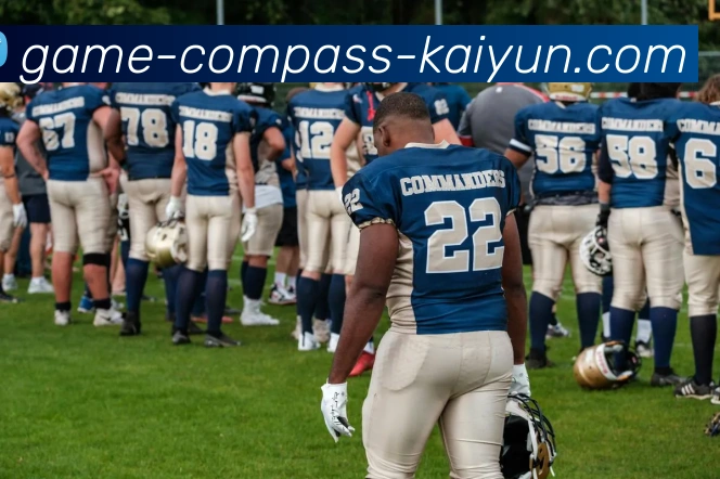 App Interface Preview